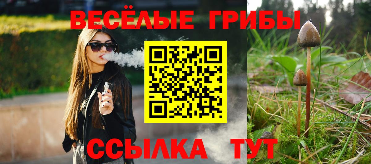 Псилоцибиновые грибы Magic Shrooms Кимры